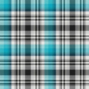 Black and White with Shades of Blue-Green Asymmetrical Plaid Version 2