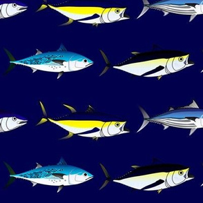 7 tuna on midnight blue lg