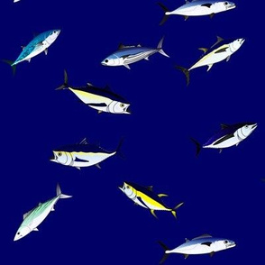 9 Tuna Scatter deep blue