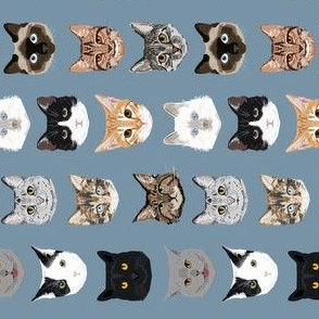 SMALL - cat faces hello cats kitty cute faces cats fabric