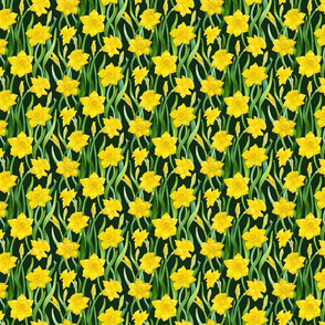Small Daffodils on Dark Green