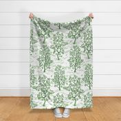 CITRUS GROVE TOILE GREENS 