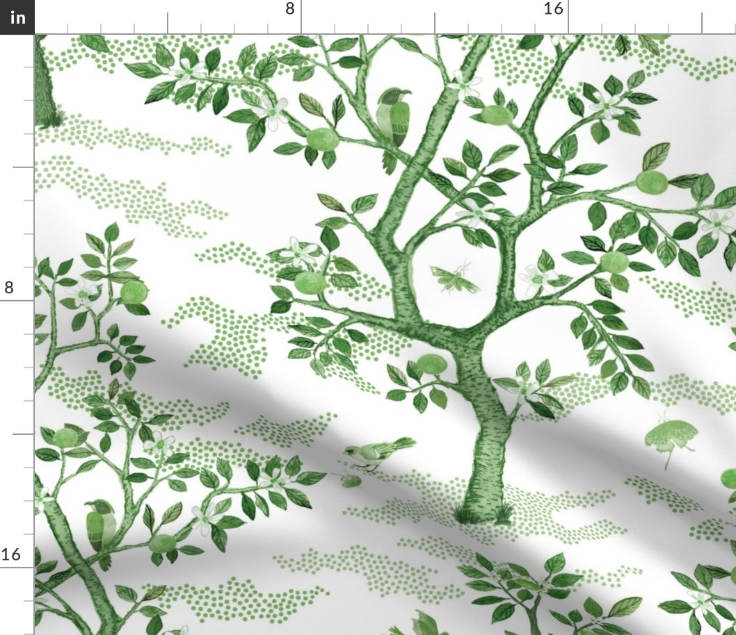 CITRUS GROVE TOILE GREENS 