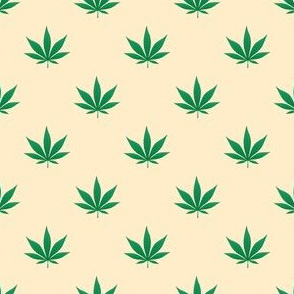 Cannabis Hemp Leaves