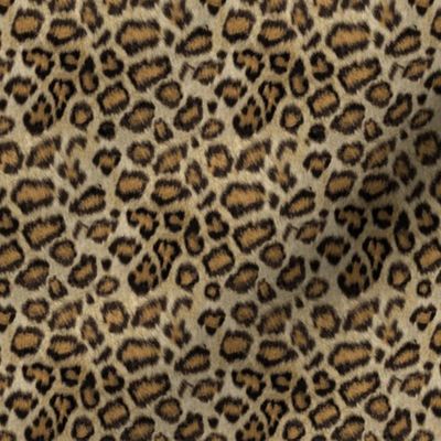 Leopard Small Scale