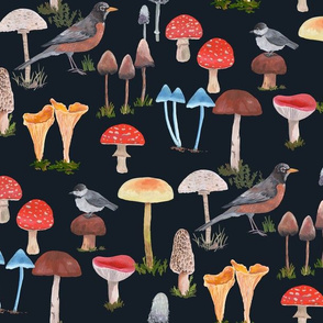 Birds and Mushrooms