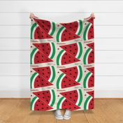 Watermelon Cut and Sew Pillow Panel