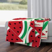 Watermelon Cut and Sew Pillow Panel