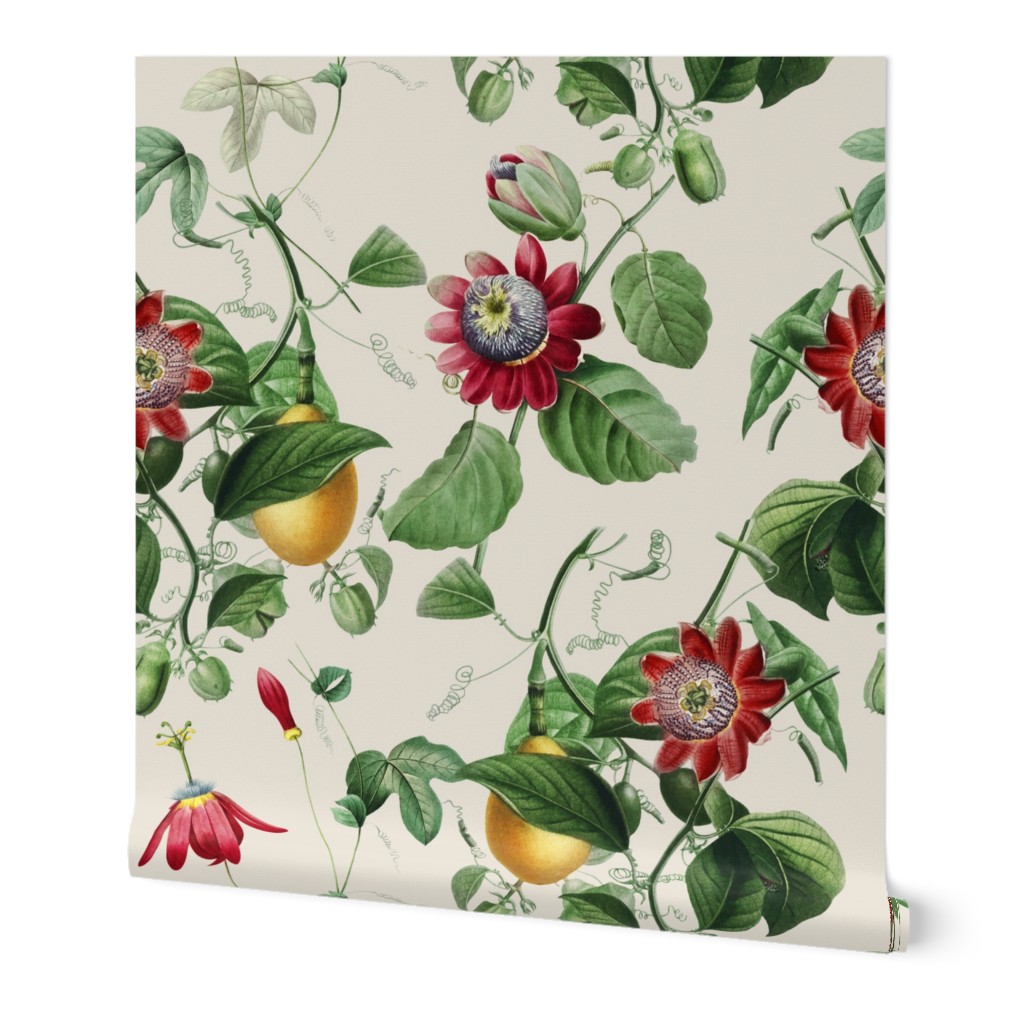 Vines with Exotic Flowers - Large - Off White