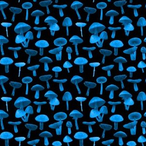 mushrooms real blue black