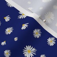 Daisy Dance  Blue