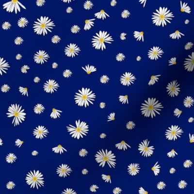 Daisy Dance  Blue