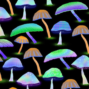 Magical Luminescent Fungi Forrest