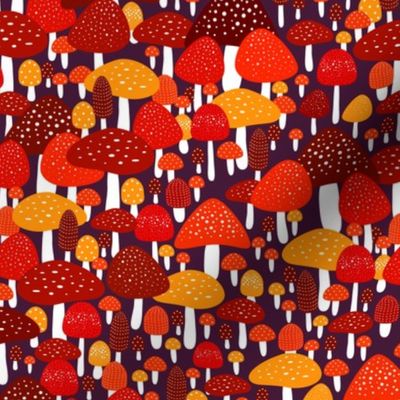 forest mushrooms fly agaric