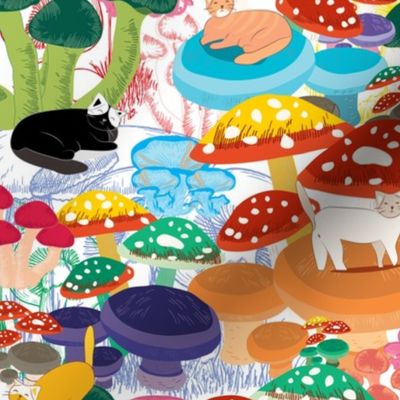 Cats in Mushroom Forest