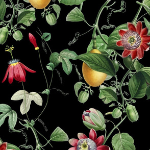 Vines with Exotic Flowers - Large - Black