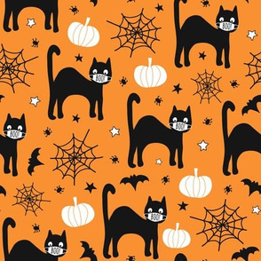 Halloween Black Cats With Facemasks