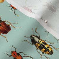 12" Vintage Beetles and Bugs on Sepia Mint