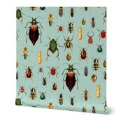 9" Vintage Beetles and Bugs on Sepia Mint