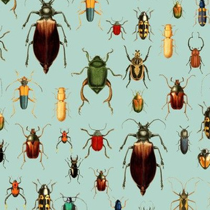 9" Vintage Beetles and Bugs on Sepia Mint