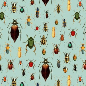 7" Vintage Beetles and Bugs on Sepia Mint