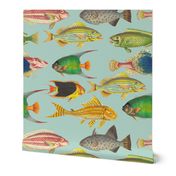 14" Vintage Colorful Ocean Fishes Sepia Mint 