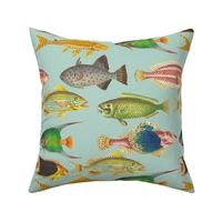14" Vintage Colorful Ocean Fishes Sepia Mint 