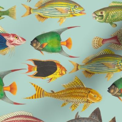 9" Vintage Colorful Ocean Fishes Sepia Mint 