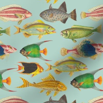 7" Vintage Colorful Ocean Fishes Sepia Mint 