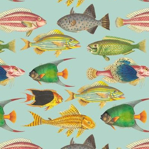 7" Vintage Colorful Ocean Fishes Sepia Mint 