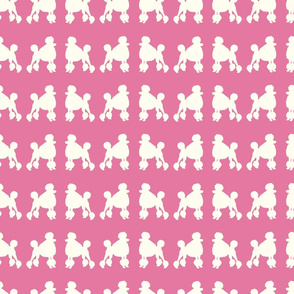 white poodles on pink