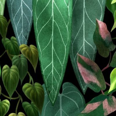 Tropical Vines (dark)