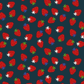 Strawberries on midnight blue