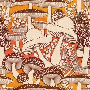 fall fungi