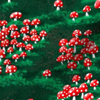 mushroom forest 