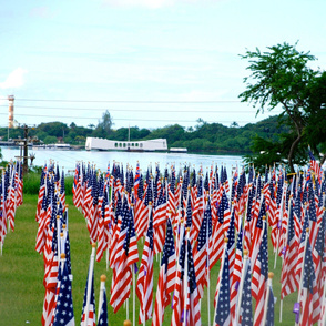 71-21 The Healing Field at Pearl Harbor featured 2,804 flags, each standing eight-feet tall, to commemorate each service member killed Dec. 7, 1941.