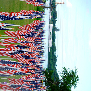 71-22 The Healing Field at Pearl Harbor featured 2,804 flags, each standing eight-feet tall, to commemorate each service member killed Dec. 7, 1941.