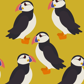 Puffins