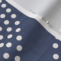 Dotted Waves DEnim