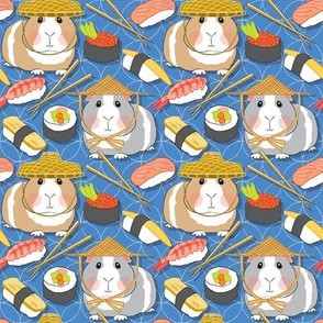 medium guinea pigs and assorted sushi on sashiko