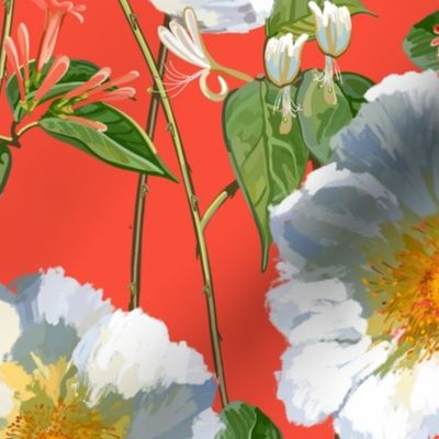 Climbing Roses + Honeysuckle | Vivid Red-Orange