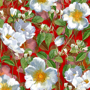 Climbing Roses + White Honeysuckle | Red