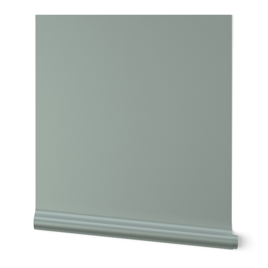 Ash Gray Grey Solid Color Simple Plain Design