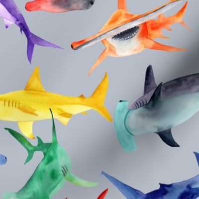 Rainbow hammerheads - gray bg