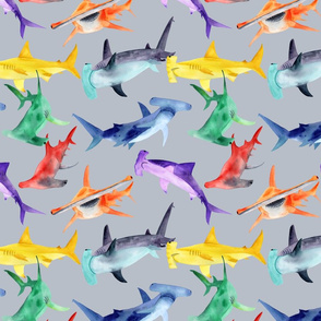 Rainbow hammerheads - gray bg