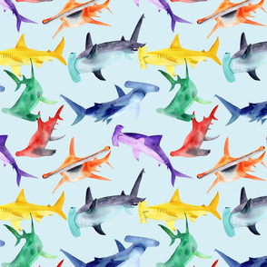 Rainbow hammerheads - sky bg