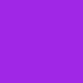 Blue Violet Solid Color Simple Plain