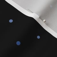 Midsummer Night Coordinate: Dots (blue on black)