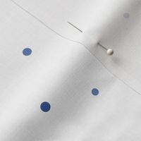 Summer Solstice Coodinate: Dots (blue)