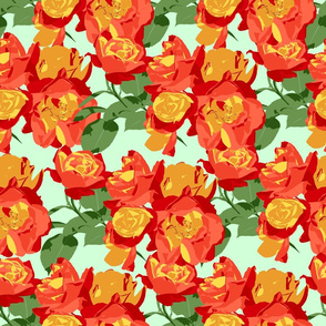 Orange Roses